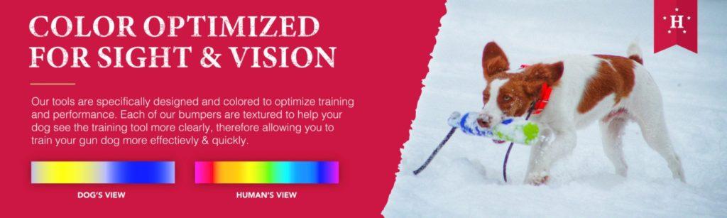 hunting dog training - dog view vs human view